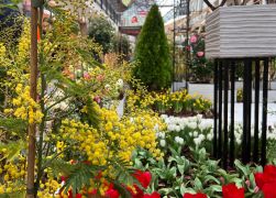 Fruehling In Jenas Goethe Galerie 2024 11